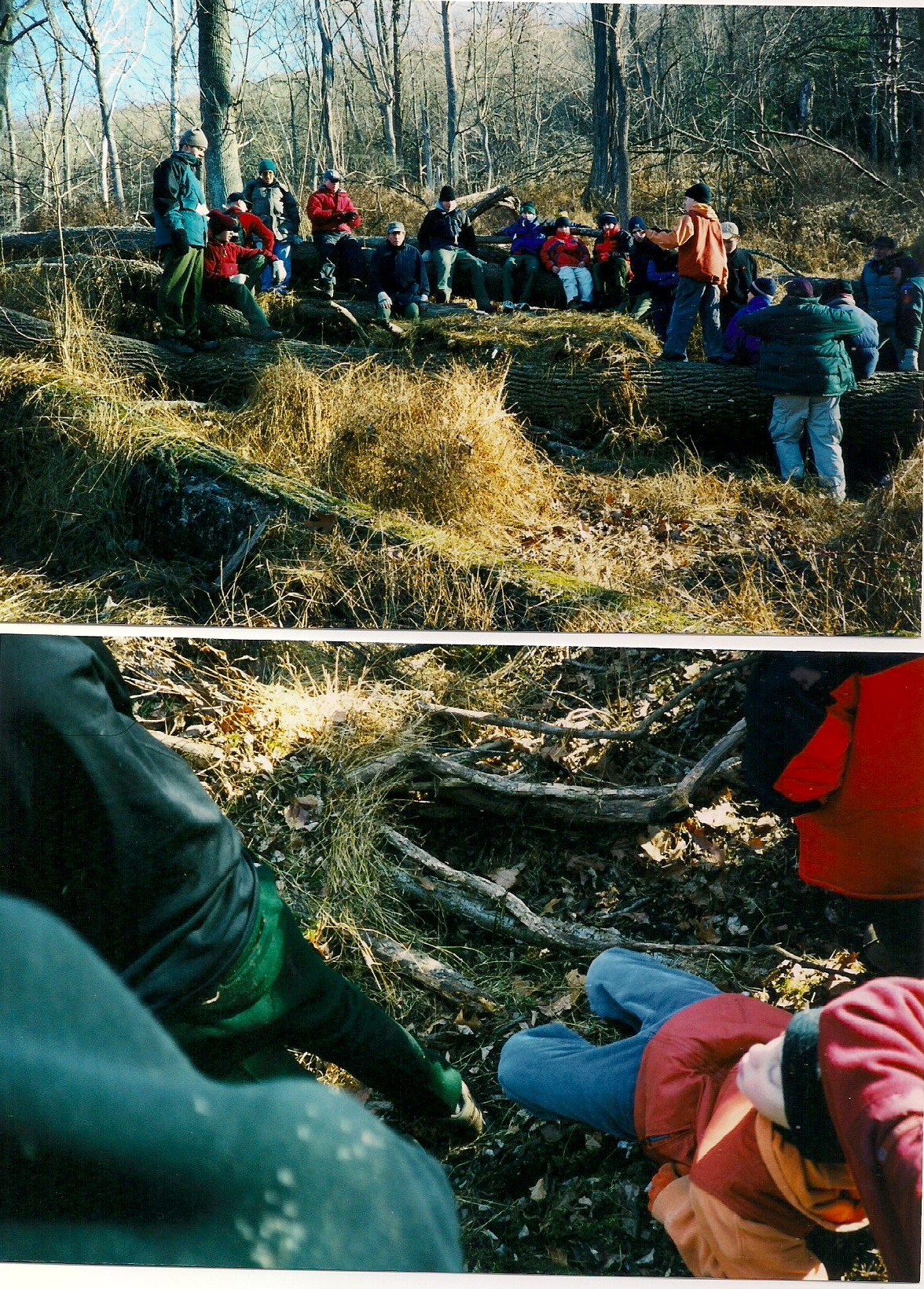 2000 - December - Worthington State Forest Campout